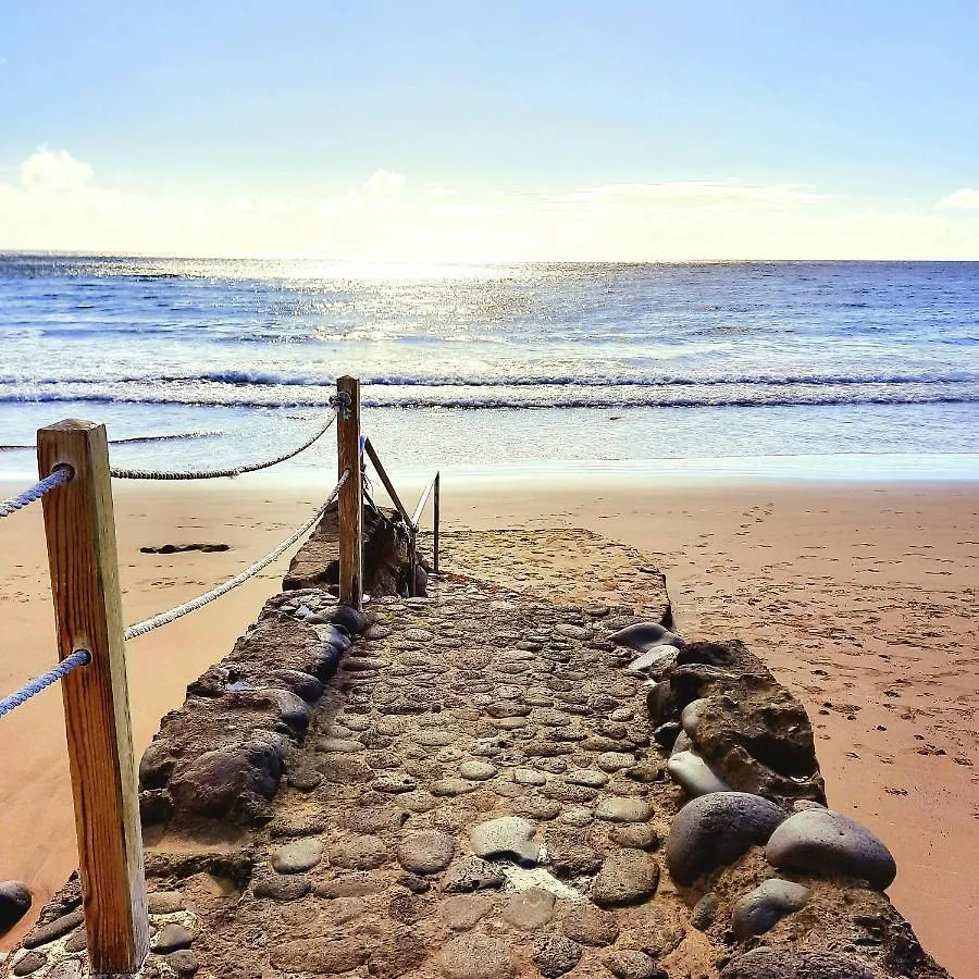 Wild House Villa Las Palmas de Gran Canaria Spain